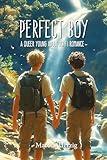 Perfect Boy: A Queer Young Adult Sci-Fi Romance
