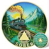 Leafence AA Sobriety Coin Alcoholics Anonymous Recovery Chip with Serenity Prayer, Train and Mountain Design AA Token Medallion for 12 Step Program Sobriety Gift (Train Sobriety Coin, 0 Year-Blank)