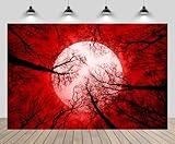 CHNYWORK 7ftx5ft Horror Forest Backdrop Bloody Full Moon Halloween Woods Gloomy Grove Mystery Vampire Background Witch Wizard Sorcerer Ghost Halloween Festival Party Decors Portrait Photo Props