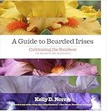 A Guide to Bearded Irises: Cultivating the Rainbow for Beginners and Enthusiasts