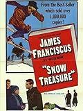 Snow Treasure