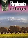 Elephants of Kilimanjaro
