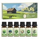 Soulorigin Nature Fragrance Oils Set, Essential Oil Gift Set for Diffuser, Natural Scent Diffuser Oil for Candle Making-Fresh Cut Grass, Mountain Air, Bamboo, Ocean Breeze, Fresh Lotus Leaf, White Tea