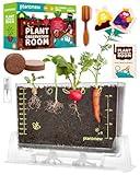 Root Viewer Kit for Kids with 6 Seed Varieties - STEM Science Kits for Kids Age 5-7, 8-12 | Perfect Christmas, Easter, Birthday Gift & School Gardening Project | Learning Educational Gardening Toys