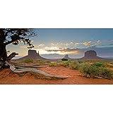 Leyiyi 48x18 inches Monument Valley Photography Background American National Park Navajo Tribal Park Western Desert Weathering Rock Warship Landmark Film Backdrop Polyester Terrarium Background