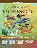 Small Animal Internal Medicine - E-Book