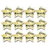 SHOP AWARDS AND GIFTS 1-3/16 Inch 3D Safety Star Lapel Pin, 12 Pack, For Men, Women, Unisex Lapel Pin Award and Gift