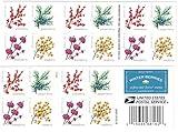 Winter Berries Book of 20 First Class US Postage Stamps Wedding Celebrate Engagement (20 Stamps)