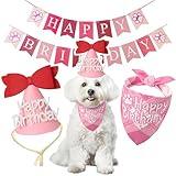 Goherii Dog Birthday Party Decoration, Pet Birthday Bandana Set - Includes Birthday Hat & Banner, Multi Size Offered, Dog Birthday Party Supplies for Puppy, Small & Large Dogs, Girl Pet (Pink,XS)