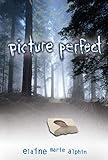 Picture Perfect (Young Adult Fiction)