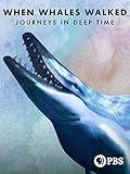 When Whales Walked: A Deep Time Journey