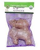 Organic Ginger, 3 oz