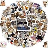 100 Pcs Cat Meme Stickers, Funny Cat Stickers, Cute Kitten Decals for Laptop Water Bottles Phone Guitar Luggage, Waterproof Vinyl Decals for Adults Kids Teens Boys Girls
