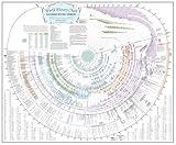 Amazing Bible Timeline with World History (Standard 37" x 45")