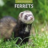 Red Robin 2026 Ferrets Monthly Wall Calendar | 12" x 24" Open | Premium Thick & Sturdy Paper | Hangable 12 Month Calendar | Lined Notes & To Do Area | Vivid Images | Plastic Free