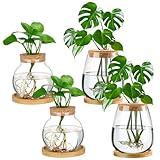 Layhit 4 Pcs Plants Propagation Stations vases Glass Planters with Wooden Lid and Bamboo Stand for Hydroponic Plants Gardening Gifts for Women Mom Home Office Tabletop Decoration(Lovely Style)