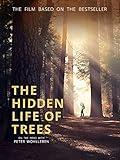 The Hidden Life of Trees