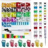 Car Fuses Assortment Kit with Tester, 273PCS Auto Fuse Standard, Small, Mini Sizes, Low & Tall Profile (2A 5A 10A 15A 20A 25A 30A 35A 40A), Replacement Fuses for Cars RVs Trucks Boat, 1PC Fuse Puller