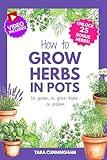 How to Grow Herbs in Pots: No Garden, no green thumb, no problem