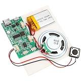 Programmable Sound Recorder Module - DIY Music Voice Recording Module Chip with Speaker, Can Recording 16 Minutes Sound Music for Personalized Greetings, Holiday Crafts Cards