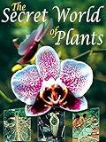 The Secret World of Plants