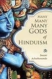 Many Many Many Gods of Hinduism: Culture, Concepts, Controversies