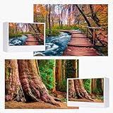 Jigsaw Puzzles for Adults, National Parks Puzzle 2 Pack 1000 Pieces, Nature Scene Challenging Puzzle Perfect for Family Activity Game Nights Home Decor(General Sherman Tree & Wooden Long Bridge)