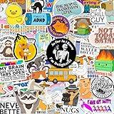 225PCS Funny Holographic Stickers for Adults, Waterproof Vinyl Pack Sarcastic Relatable Meme Decals for Laptop, Water Bottle, Phone, Kindle, Journal, Scrapbooking, No Repeats (225PC Hot Mess)