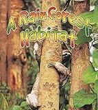 A Rainforest Habitat (Paperback) (Introducing Habitats)
