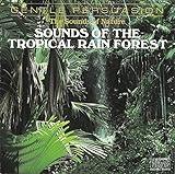 Sounds Of The Tropical Rain Forest