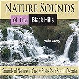 Camp Fire Sounds in Custer State Park Campground