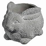 Classic Home and Garden Cement Buddies Animal Planter - Cute Desk Decoration - UV Coated Animal Vase w/Removable Drain Plug -Succulent Planter for Indoor/Outdoor Use (Rabbit Planter, Natural, Small)