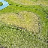 Light at the end of the road