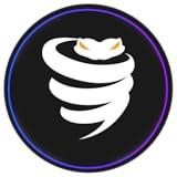 VyprVPN: The Strikingly Protective™ VPN