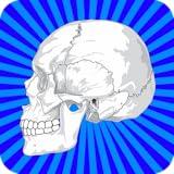 Human Body Facts: Fun Human Anatomy and Physiology Flash Cards app FREE! Learn about Bones, Muscles, Brain, and the Body Parts Atlas of Science Systems for Kids!