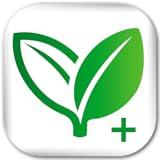 Home Remedies Plus