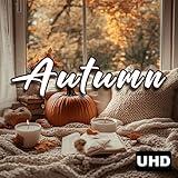 Cozy Autumn Ambience Screensaver: Fall Vibes & Relaxing Sounds