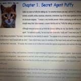 Comic action adventure story